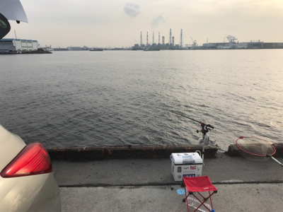 南港でエビ撒き！