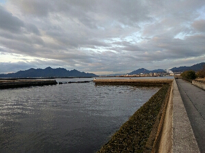 今日もメバルは産卵後パターン