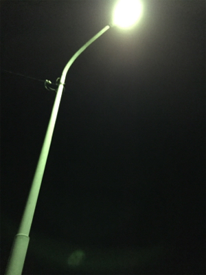 寒波のせいか？