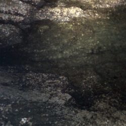 やっぱりシブい