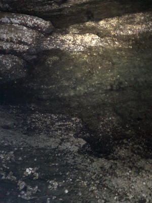 やっぱりシブい