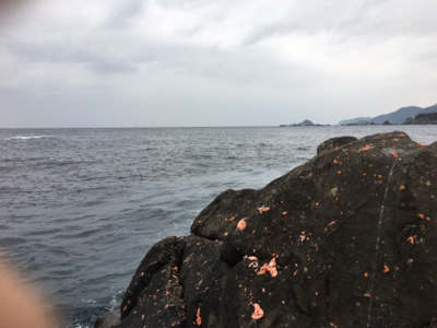 グレ浮きフカセ釣