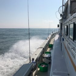 一つテンヤマダイ