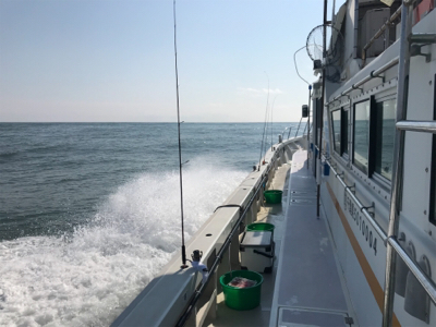 一つテンヤマダイ