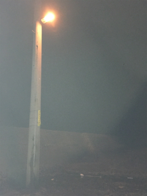 寒すぎやしませんかね…