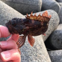 冬の穴釣りは夢があるな〜