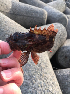 冬の穴釣りは夢があるな〜