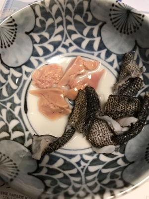 メバル  夜釣り  釣人家