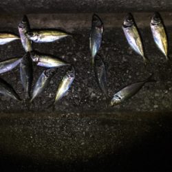 シブ過ぎでしょ〜