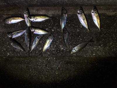 シブ過ぎでしょ〜