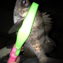 そろそろ上向き？