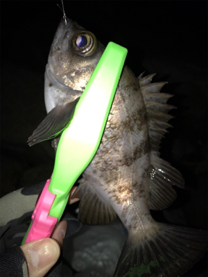 そろそろ上向き？