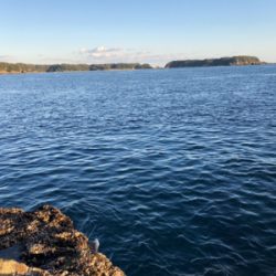 ハゲ狙い新規開拓