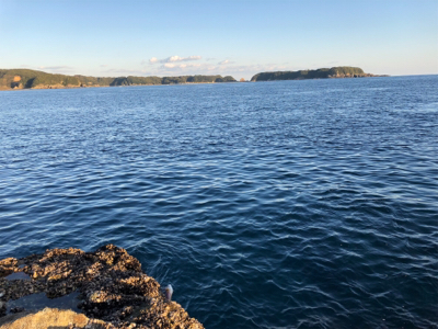 ハゲ狙い新規開拓