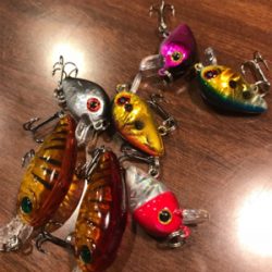 芥川マス釣り場にて♫