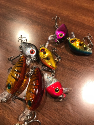 芥川マス釣り場にて♫