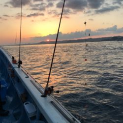 早川丸でカワハギ43枚！