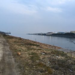 オルルド釣り具