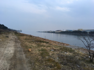 オルルド釣り具