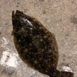 いんふぃにてぃ！