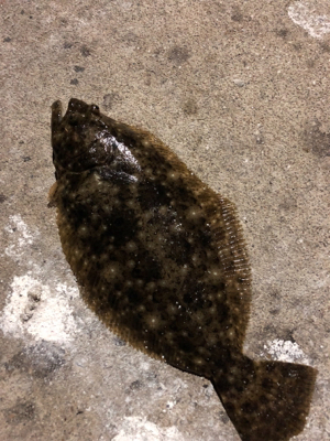 いんふぃにてぃ！