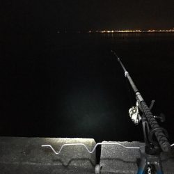 ウキ釣りでメバル