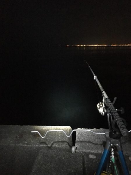 ウキ釣りでメバル