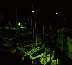 表層惨敗からの泣き尺ガシラ