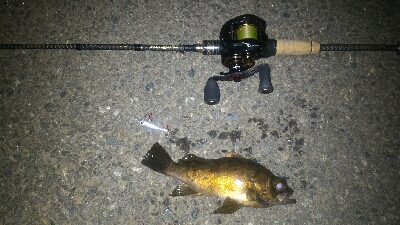 激渋メバリング