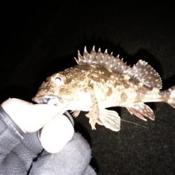 ダブルヘッダー