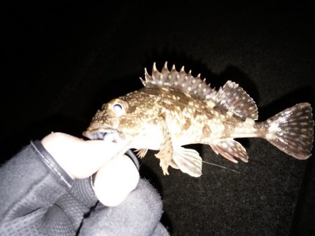 ダブルヘッダー