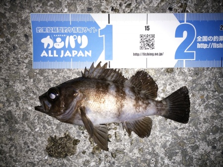 時合がハッキリ