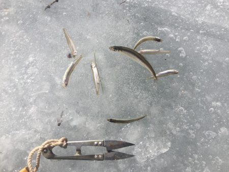 ワカサギ氷上釣り