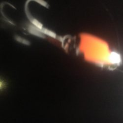 冷音 ふらっしー