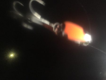 冷音 ふらっしー