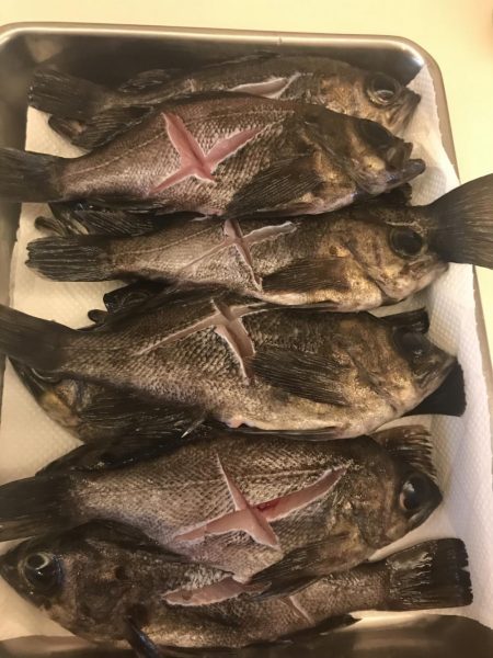 爆釣メバリング