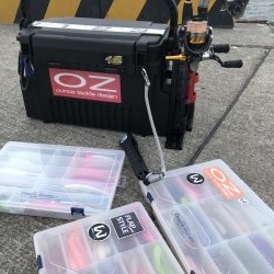 癒しのライトゲーム！