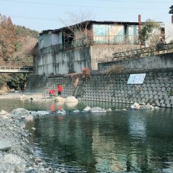 芥川マス釣り場のトラウト