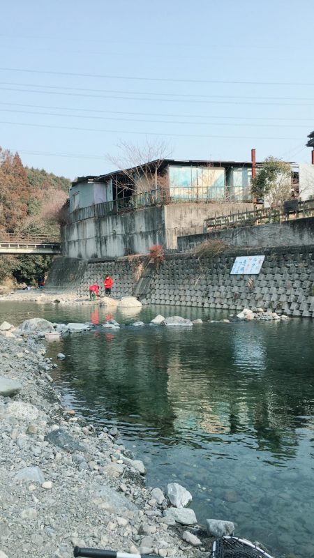 芥川マス釣り場のトラウト