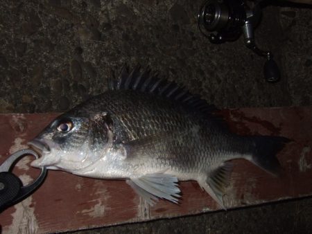 厳冬期のチニング