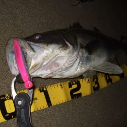 かなり戻ってきてます