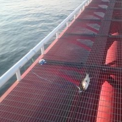 最高の釣り日和