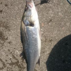 西宮ケーソン入口。