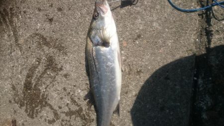 西宮ケーソン入口。