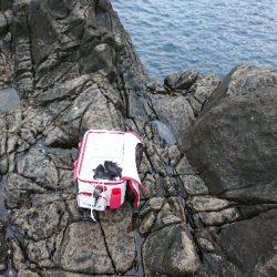 太地でグレ釣り