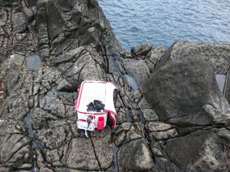 太地でグレ釣り