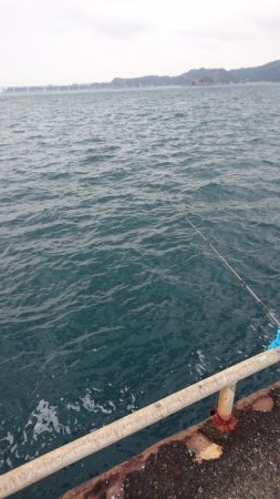 久しブリ❗逃しイワシ