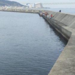 のんびりしてたら・・・。