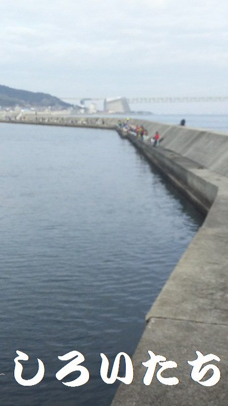 のんびりしてたら・・・。