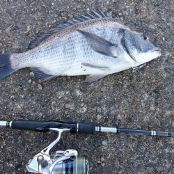 デイチニングで年無し